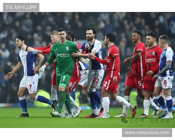 布莱顿本赛季表现稳健，竞争力持续提升