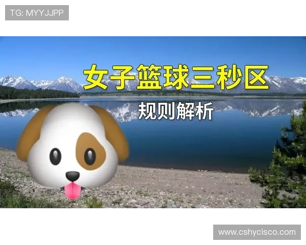 篮球三秒规则国际差异的具体条文解读